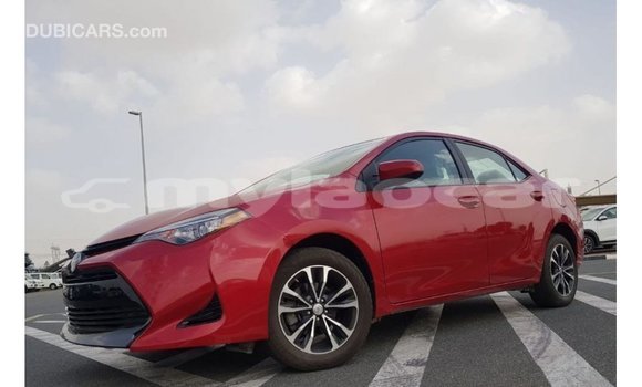 Buy Import Toyota Corolla Red Car in Import - Dubai in Attapeu Province Buy Import Toyota Corolla Red Car in Import - Dubai in Attapeu Province