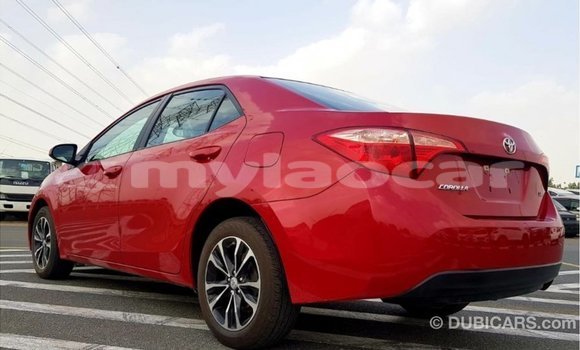 Buy Import Toyota Corolla Red Car in Import - Dubai in Attapeu Province Buy Import Toyota Corolla Red Car in Import - Dubai in Attapeu Province