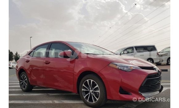 Buy Import Toyota Corolla Red Car in Import - Dubai in Attapeu Province Buy Import Toyota Corolla Red Car in Import - Dubai in Attapeu Province