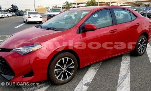Buy Import Toyota Corolla Red Car in Import - Dubai in Attapeu Province Buy Import Toyota Corolla Red Car in Import - Dubai in Attapeu Province