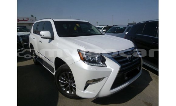 Buy Import Lexus GX White Car in Import - Dubai in Attapeu Province