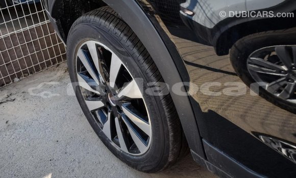 Buy Import Nissan Evalia Black Truck in Import - Dubai in Attapeu Province