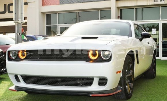 Buy Import Dodge Challenger White Car in Import - Dubai in Attapeu Province