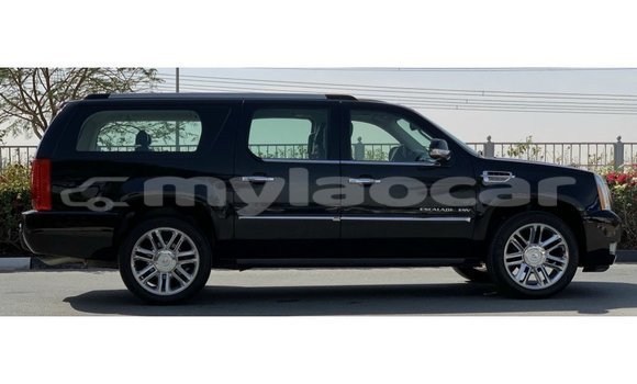 Buy Import Cadillac Escalade Black Car in Import - Dubai in Attapeu Province Buy Import Cadillac Escalade Black Car in Import - Dubai in Attapeu Province