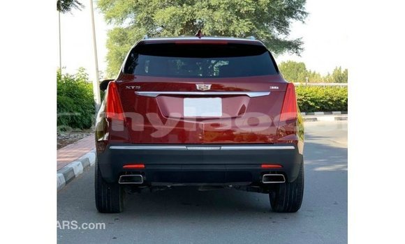 Buy Import Cadillac XT5 Red Car in Import - Dubai in Attapeu Province Buy Import Cadillac XT5 Red Car in Import - Dubai in Attapeu Province