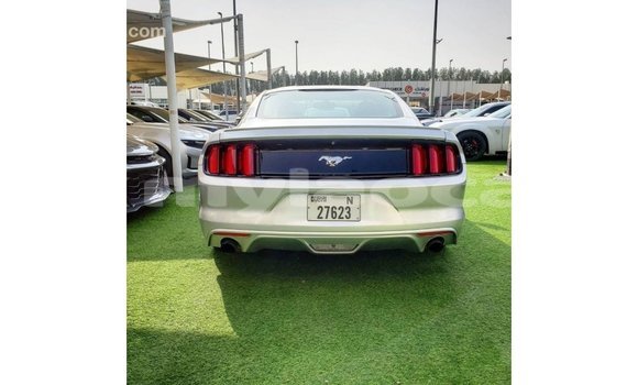 Buy Import Ford Mustang Other Car in Import - Dubai in Attapeu Province Buy Import Ford Mustang Other Car in Import - Dubai in Attapeu Province