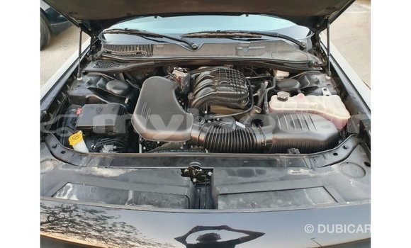 Buy Import Dodge Challenger Black Car in Import - Dubai in Attapeu Province Buy Import Dodge Challenger Black Car in Import - Dubai in Attapeu Province