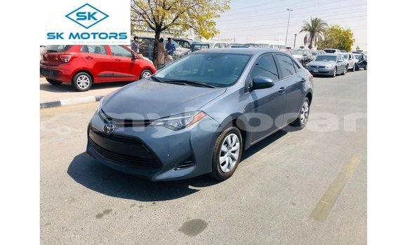 Buy Import Toyota Corolla Other Car in Import - Dubai in Attapeu Province