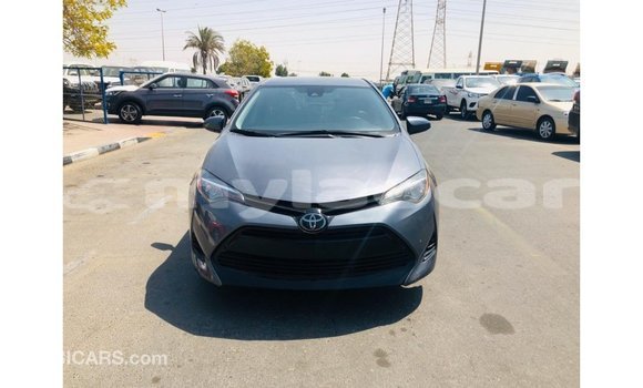 Buy Import Toyota Corolla Other Car in Import - Dubai in Attapeu Province Buy Import Toyota Corolla Other Car in Import - Dubai in Attapeu Province