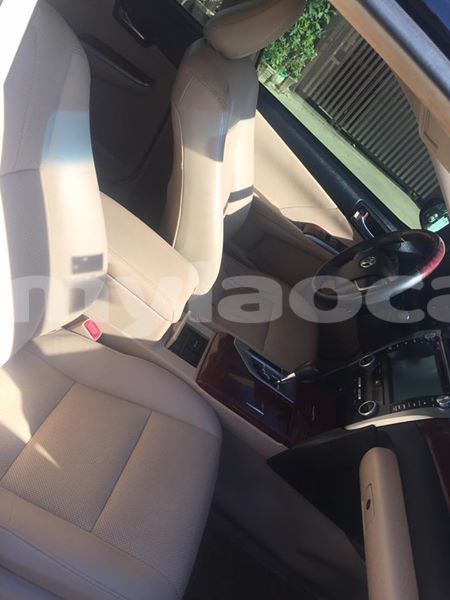 Big with watermark 48370786 1631624396984237 3942476332130107392 n