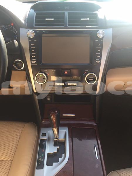 Big with watermark 48375061 1631624500317560 9069888545853800448 n