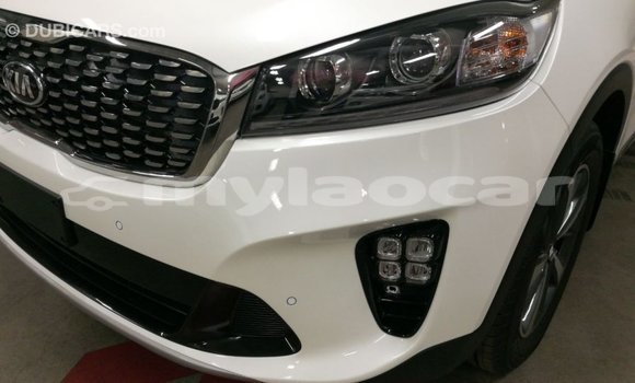 Buy Import Kia Sorento White Car in Import - Dubai in Attapeu Province Buy Import Kia Sorento White Car in Import - Dubai in Attapeu Province
