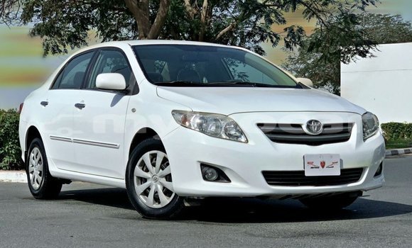 Buy Import Toyota Corolla White Car in Import - Dubai in Attapeu Province Buy Import Toyota Corolla White Car in Import - Dubai in Attapeu Province