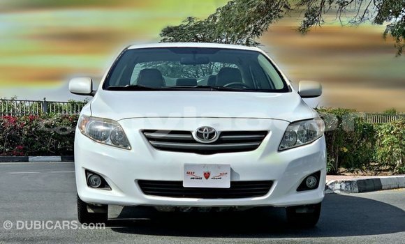 Buy Import Toyota Corolla White Car in Import - Dubai in Attapeu Province Buy Import Toyota Corolla White Car in Import - Dubai in Attapeu Province