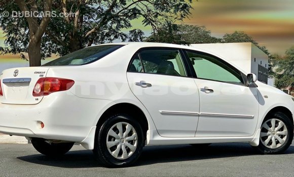 Buy Import Toyota Corolla White Car in Import - Dubai in Attapeu Province Buy Import Toyota Corolla White Car in Import - Dubai in Attapeu Province