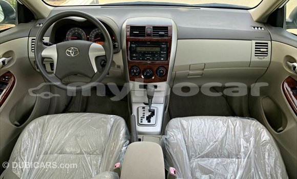 Buy Import Toyota Corolla White Car in Import - Dubai in Attapeu Province Buy Import Toyota Corolla White Car in Import - Dubai in Attapeu Province