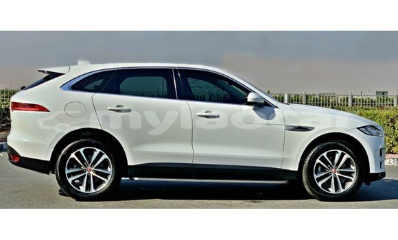 Buy Import Jaguar F-Pace White Car in Import - Dubai in Attapeu Province Buy Import Jaguar F-Pace White Car in Import - Dubai in Attapeu Province