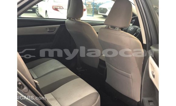 Buy Import Toyota Corolla Other Car in Import - Dubai in Attapeu Province Buy Import Toyota Corolla Other Car in Import - Dubai in Attapeu Province