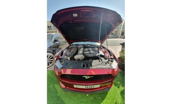 Buy Import Ford Mustang Red Car in Import - Dubai in Attapeu Province Buy Import Ford Mustang Red Car in Import - Dubai in Attapeu Province