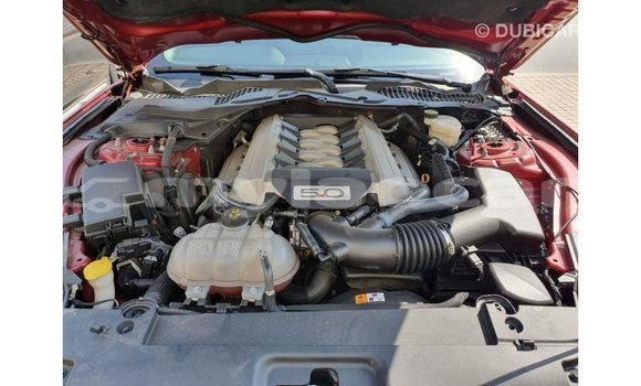 Buy Import Ford Mustang Red Car in Import - Dubai in Attapeu Province Buy Import Ford Mustang Red Car in Import - Dubai in Attapeu Province