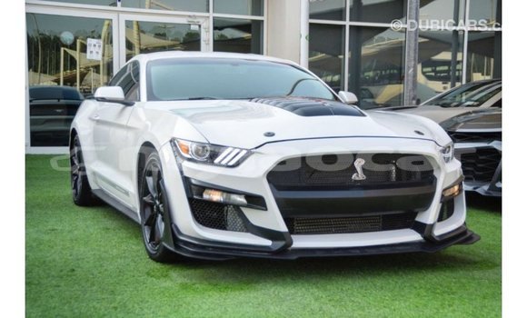 Buy Import Ford Mustang White Car in Import - Dubai in Attapeu Province Buy Import Ford Mustang White Car in Import - Dubai in Attapeu Province