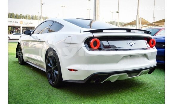 Buy Import Ford Mustang White Car in Import - Dubai in Attapeu Province Buy Import Ford Mustang White Car in Import - Dubai in Attapeu Province