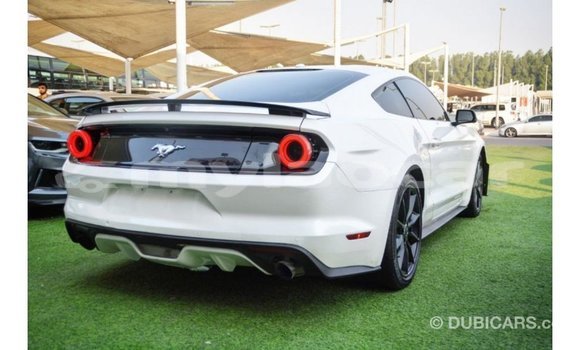 Buy Import Ford Mustang White Car in Import - Dubai in Attapeu Province Buy Import Ford Mustang White Car in Import - Dubai in Attapeu Province