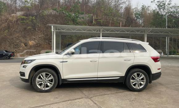 Buy Used Skoda Kodiaq White Car in Luang Prabang in Louangphabang Province Buy Used Skoda Kodiaq White Car in Luang Prabang in Louangphabang Province