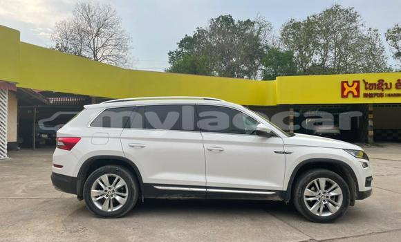 Buy Used Skoda Kodiaq White Car in Luang Prabang in Louangphabang Province Buy Used Skoda Kodiaq White Car in Luang Prabang in Louangphabang Province