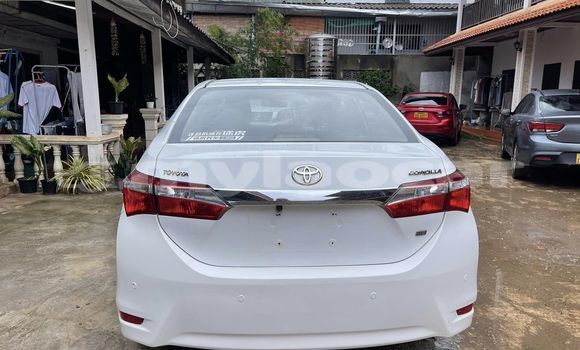Buy Used Toyota Corolla White Car in Vientiane in Vientiane Province Buy Used Toyota Corolla White Car in Vientiane in Vientiane Province