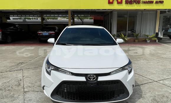 Buy Used Toyota Vios White Car in Luang Prabang in Louangphabang Province