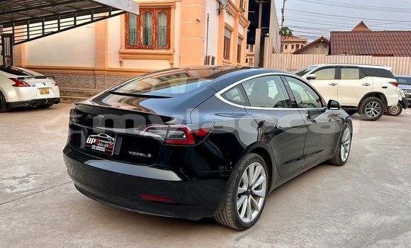 Buy Used Tesla Model 3 White Car in Vientiane in Vientiane Province Buy Used Tesla Model 3 White Car in Vientiane in Vientiane Province