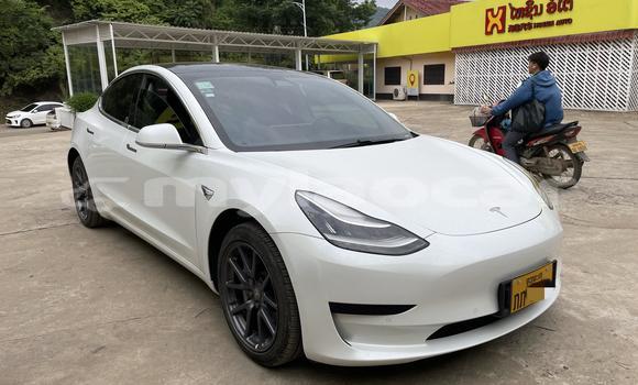 Buy Used Tesla Model 3 White Car in Luang Prabang in Louangphabang Province