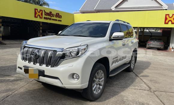 Buy Used Toyota Prado White Car in Luang Prabang in Louangphabang Province