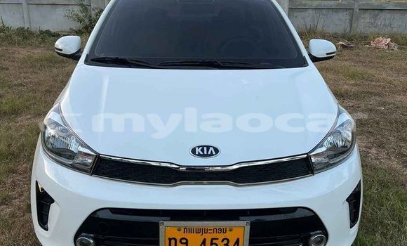 Buy Used Kia Cerato White Car in Vientiane in Vientiane Province Buy Used Kia Cerato White Car in Vientiane in Vientiane Province