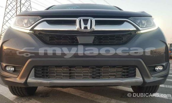 Buy Import Honda C Other Bike in Import - Dubai in Attapeu Province Buy Import Honda C Other Bike in Import - Dubai in Attapeu Province