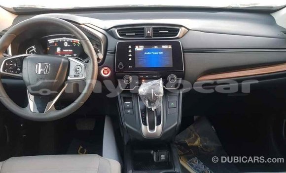 Buy Import Honda C Other Bike in Import - Dubai in Attapeu Province Buy Import Honda C Other Bike in Import - Dubai in Attapeu Province