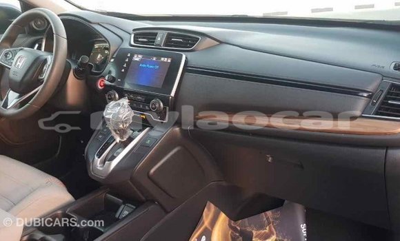 Buy Import Honda C Other Bike in Import - Dubai in Attapeu Province Buy Import Honda C Other Bike in Import - Dubai in Attapeu Province