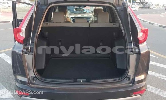 Buy Import Honda C Other Bike in Import - Dubai in Attapeu Province