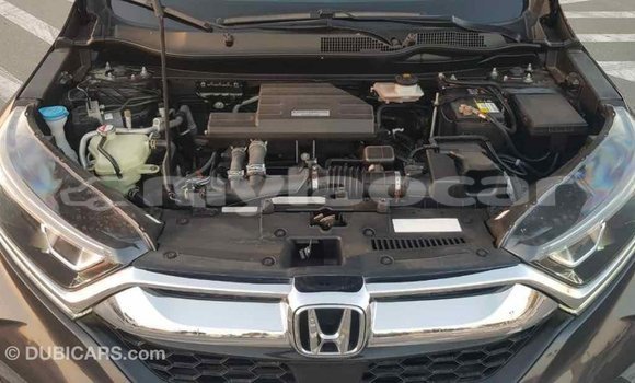 Buy Import Honda C Other Bike in Import - Dubai in Attapeu Province Buy Import Honda C Other Bike in Import - Dubai in Attapeu Province