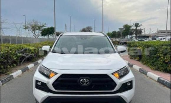 Buy Import Toyota RAV4 White Car in Phonsavan in Xiangkhouang Province