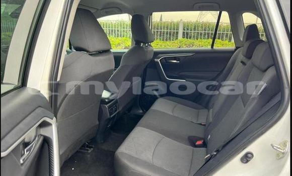 Buy Used Toyota RAV4 White Car in Saravan in Salavan Province Buy Used Toyota RAV4 White Car in Saravan in Salavan Province