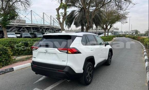 Buy Used Toyota RAV4 White Car in Saravan in Salavan Province Buy Used Toyota RAV4 White Car in Saravan in Salavan Province