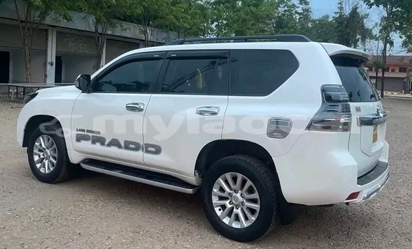 Buy Used Toyota Prado White Car in Huayxay in Bokeo Province