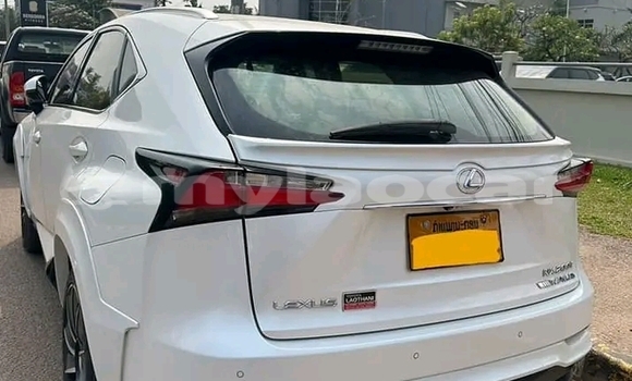 Buy Used FSO Polonez White Car in Vientiane in Vientiane Province Buy Used FSO Polonez White Car in Vientiane in Vientiane Province