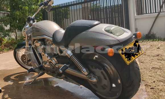 ຊື້ ການ ນຳ ເຂົ້າ Harley Davidson VRSC Silver ລົດຖີບ ໃນ Vientiane ໃນ Vientiane Province ຊື້ ການ ນຳ ເຂົ້າ Harley Davidson VRSC Silver ລົດຖີບ ໃນ Vientiane ໃນ Vientiane Province