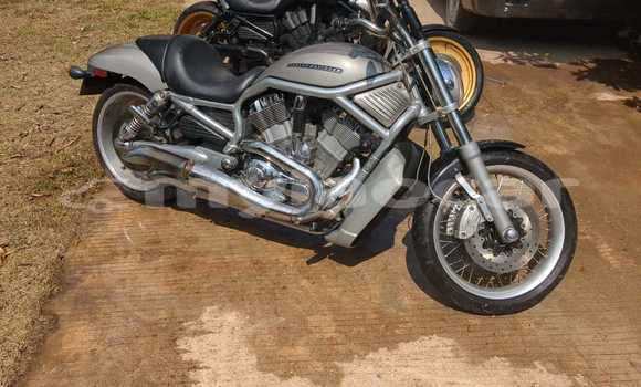 ຊື້ ການ ນຳ ເຂົ້າ Harley Davidson VRSC Silver ລົດຖີບ ໃນ Vientiane ໃນ Vientiane Province ຊື້ ການ ນຳ ເຂົ້າ Harley Davidson VRSC Silver ລົດຖີບ ໃນ Vientiane ໃນ Vientiane Province