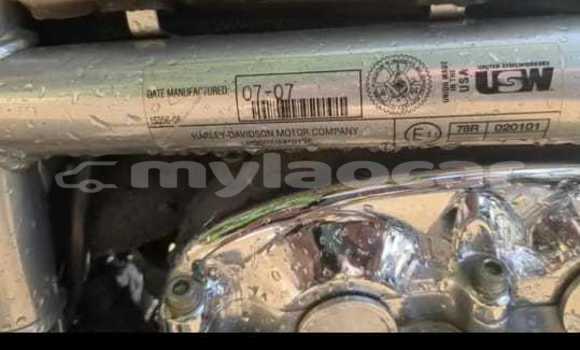 ຊື້ ການ ນຳ ເຂົ້າ Harley Davidson VRSC Silver ລົດຖີບ ໃນ Vientiane ໃນ Vientiane Province ຊື້ ການ ນຳ ເຂົ້າ Harley Davidson VRSC Silver ລົດຖີບ ໃນ Vientiane ໃນ Vientiane Province