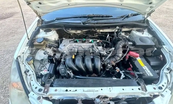 ຊື້ ໃຊ້ແລ້ວ Toyota Caldina White ລົດ ໃນ Pakxan ໃນ Bolikhamxai Province ຊື້ ໃຊ້ແລ້ວ Toyota Caldina White ລົດ ໃນ Pakxan ໃນ Bolikhamxai Province