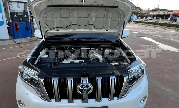 ຊື້ ໃຊ້ແລ້ວ Toyota Prado White ລົດ ໃນ Import - Dubai ໃນ Attapeu Province ຊື້ ໃຊ້ແລ້ວ Toyota Prado White ລົດ ໃນ Import - Dubai ໃນ Attapeu Province